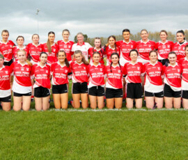 Stradbally team image